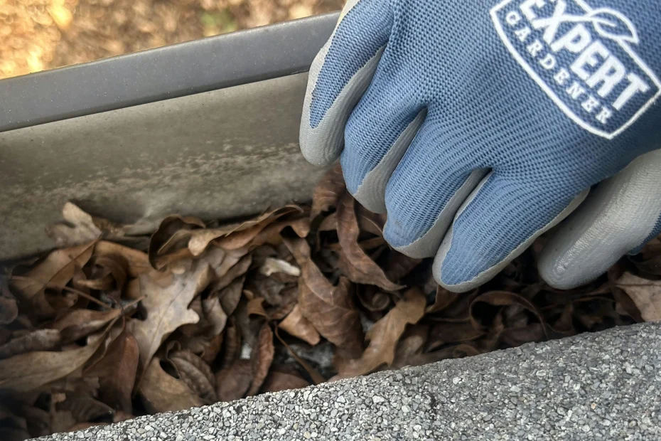 Gutter Cleaning Bensalem